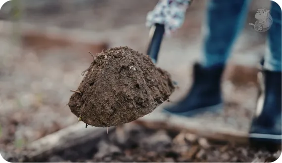 przekopywanie ziemi pod wysiew trawnika